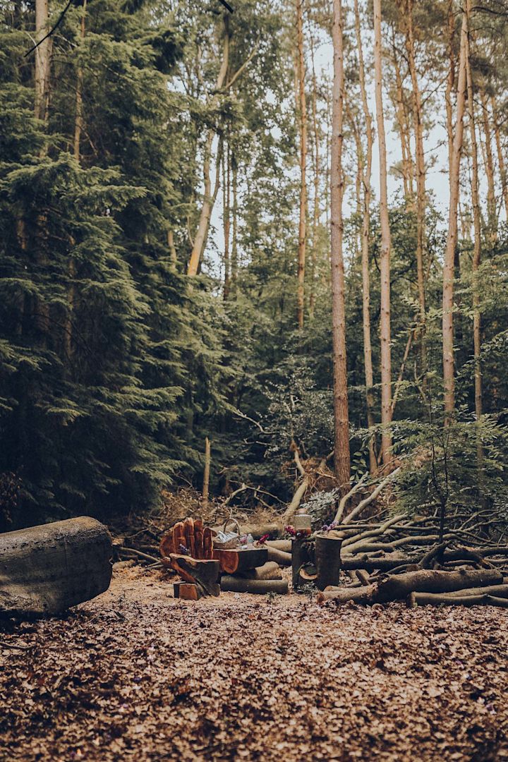 Sylvan Setting