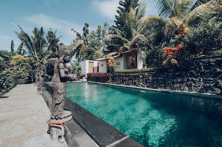 Tropical Vibes