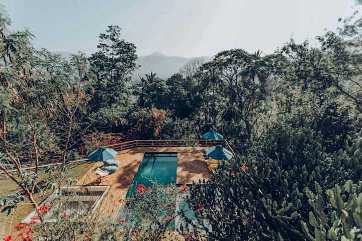 Relax in Jungles