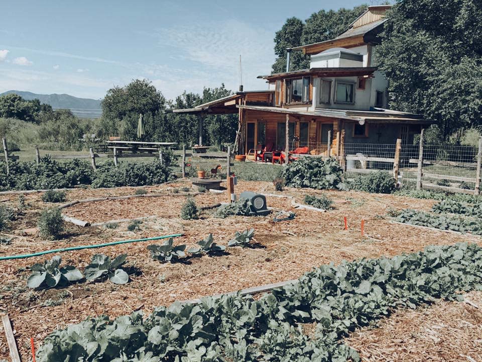 Organic