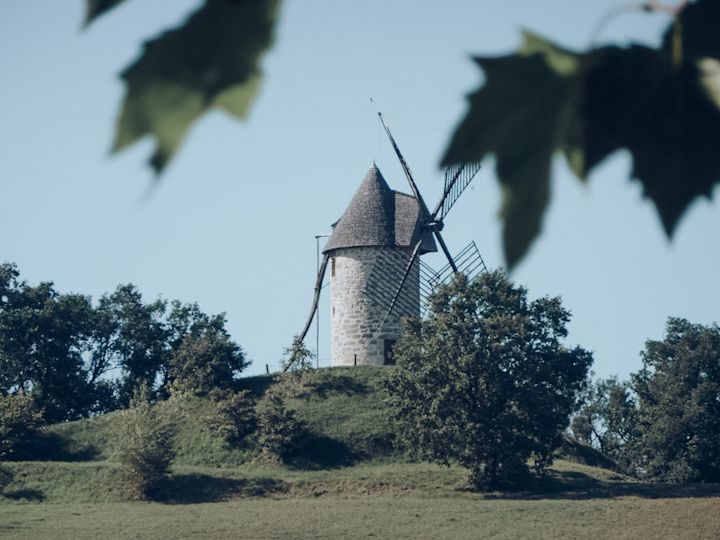 Garden views of the windmill