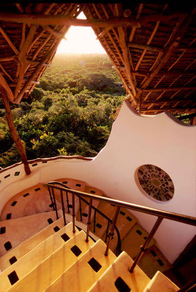 Forest Staircase