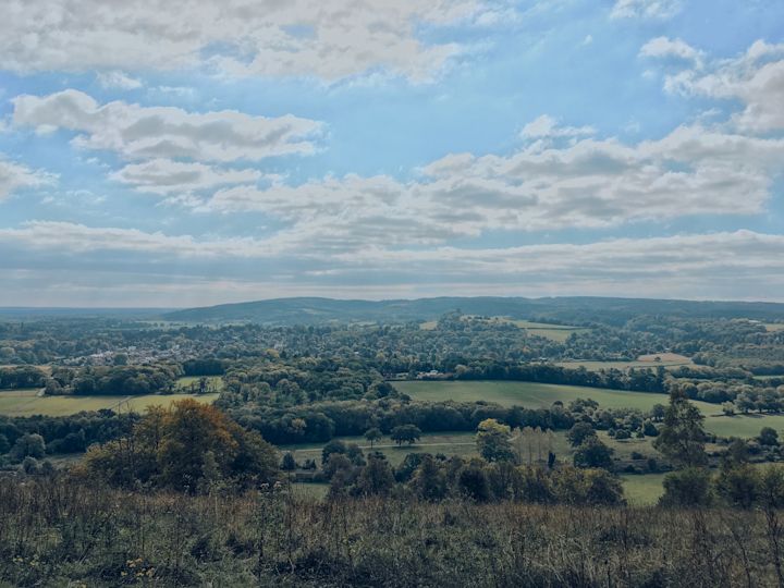 Surrey Hills