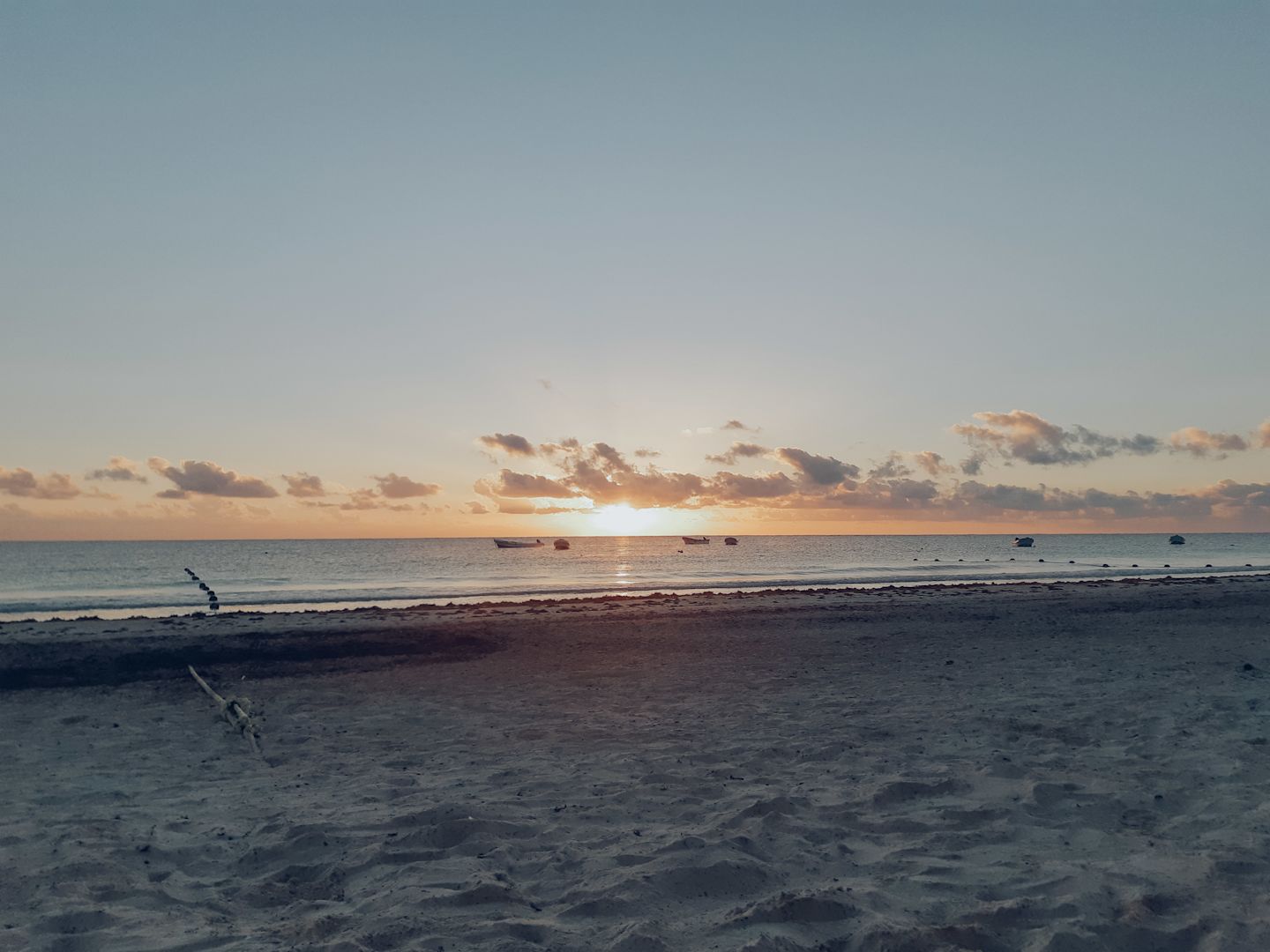 20190113 073645