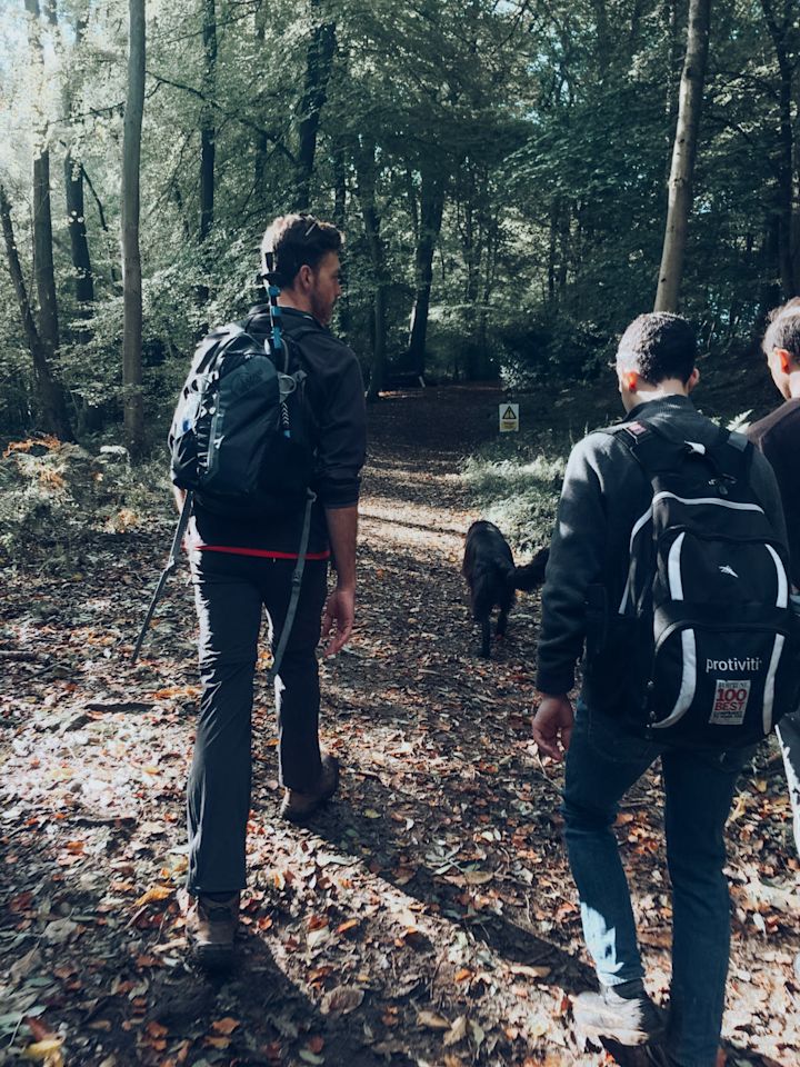wine walk forest
