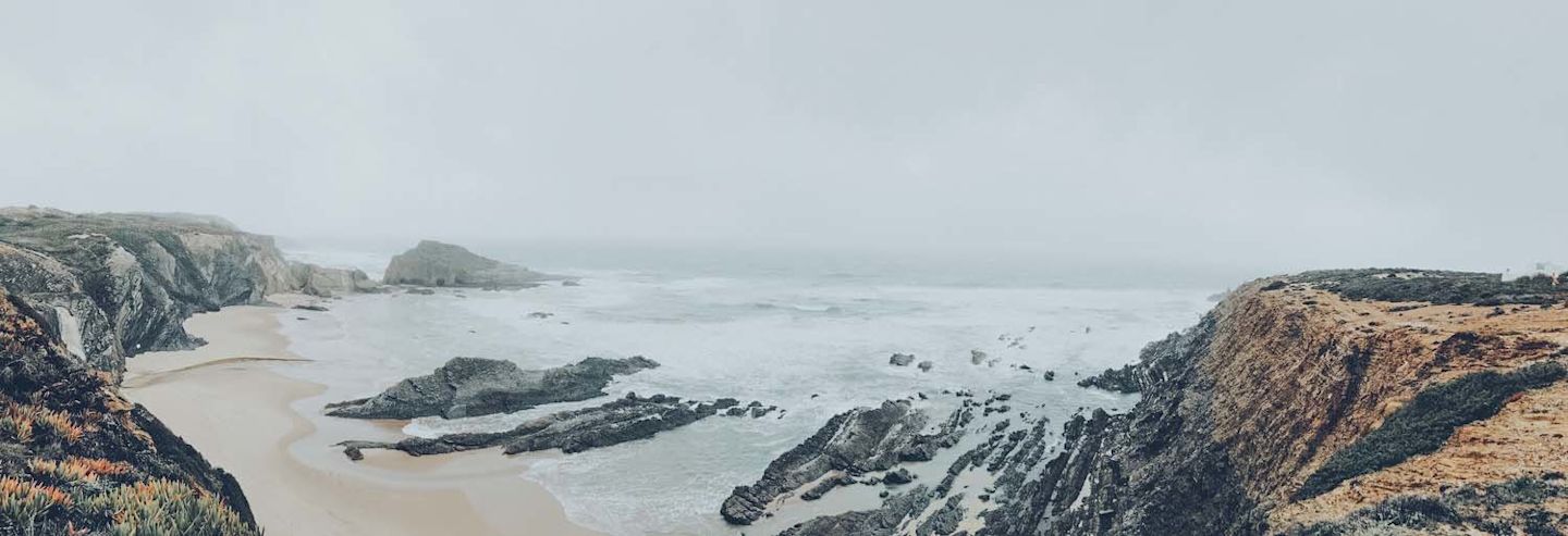 Foggy Cove