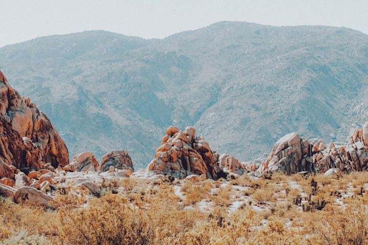 Joshua Tree National Park
