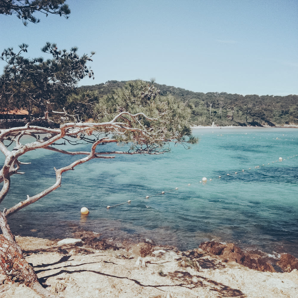 Cote D'Azur