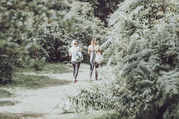In to the forest