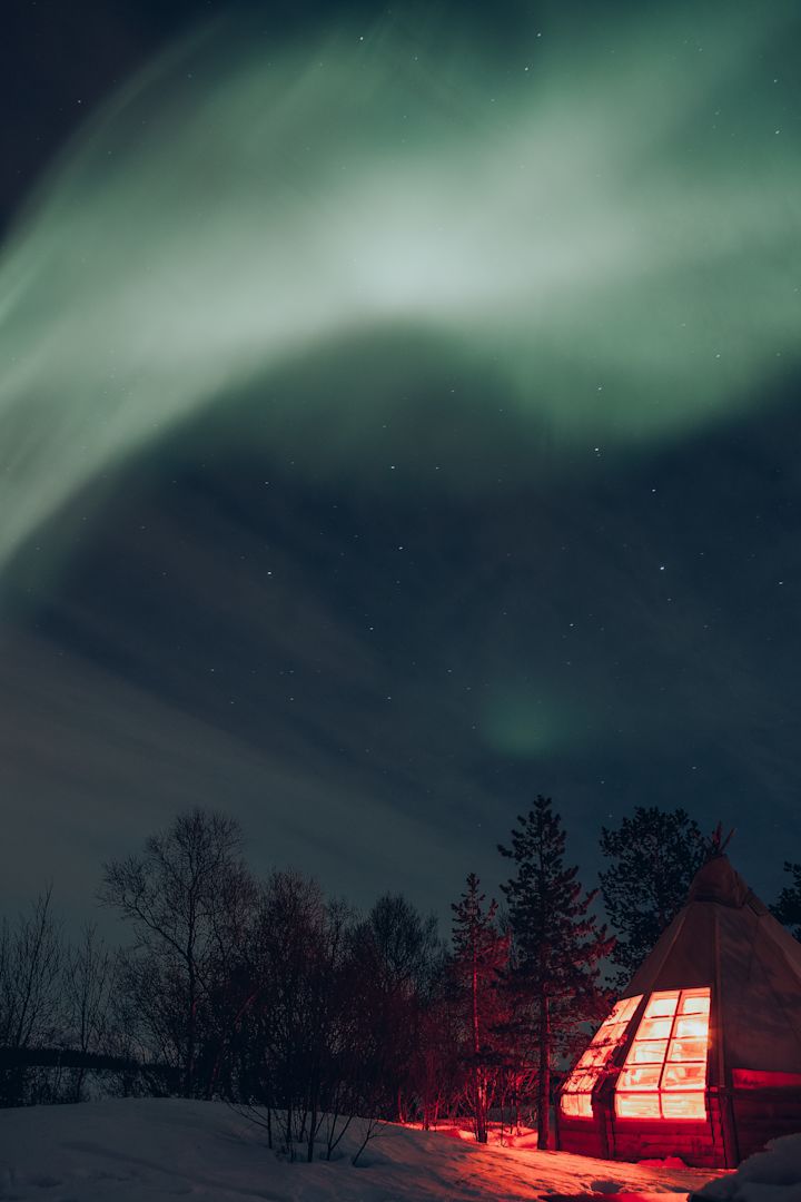 Aurora nights