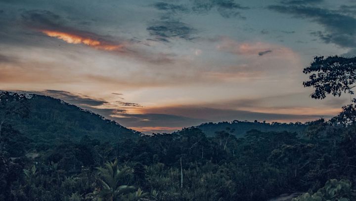 Skyviews