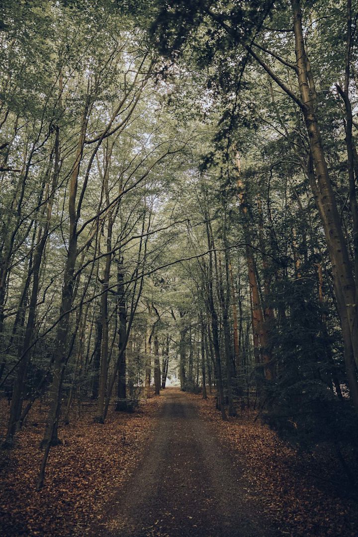 Mysterious setting