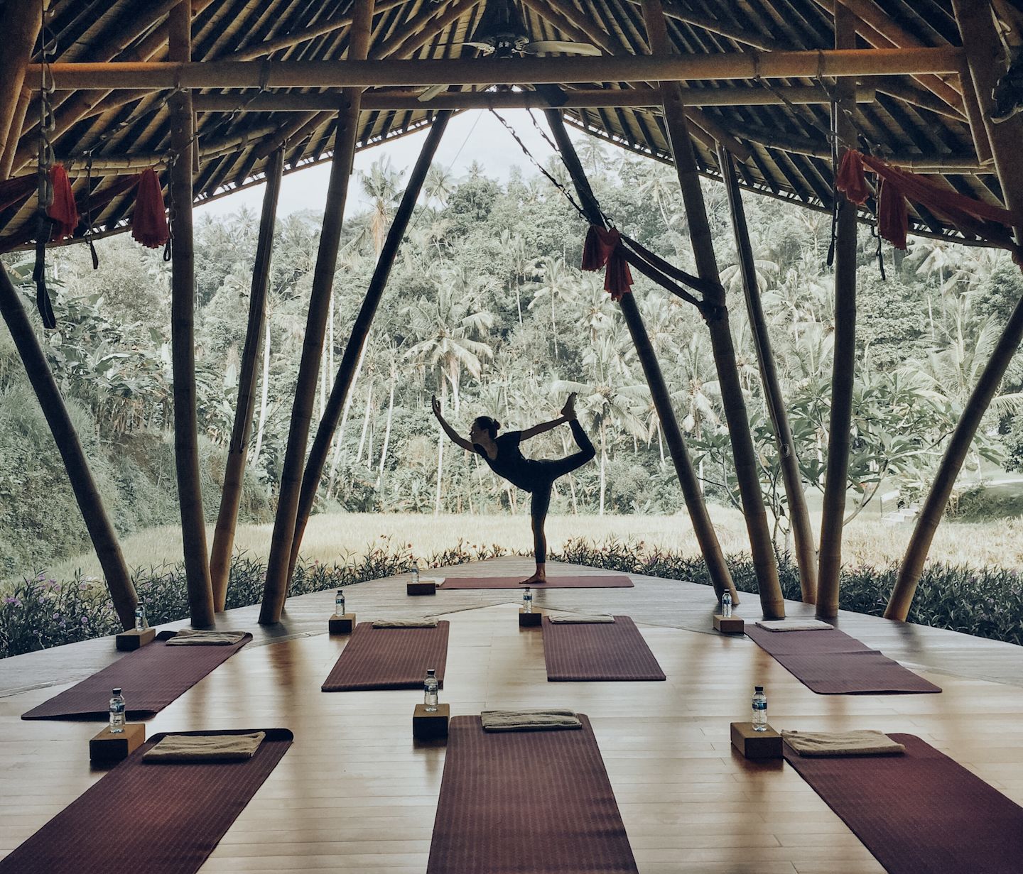 Yoga in the jungle