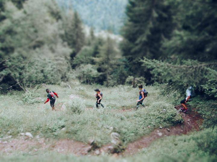 Run the wild