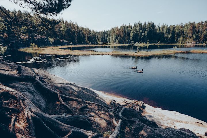 Lakeside views