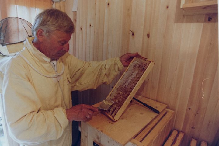 Honey making