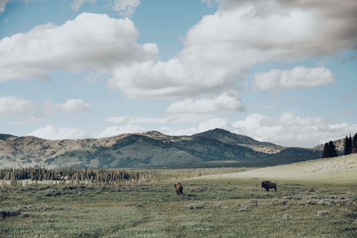 Rolling Hills