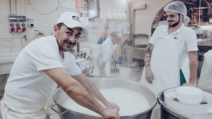 Making mozzarella