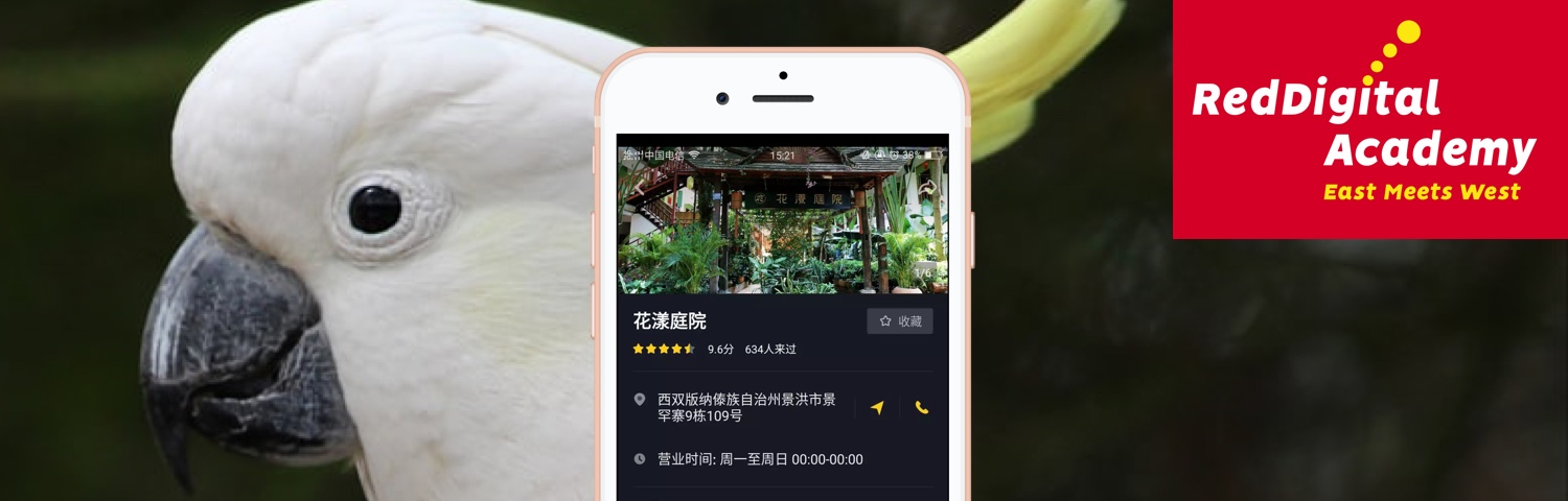Parrot brings 60000 followers to a small hotel in China with Douyin (TikTok)?  hero image