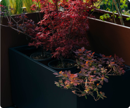 pravougaone 50 - view 3