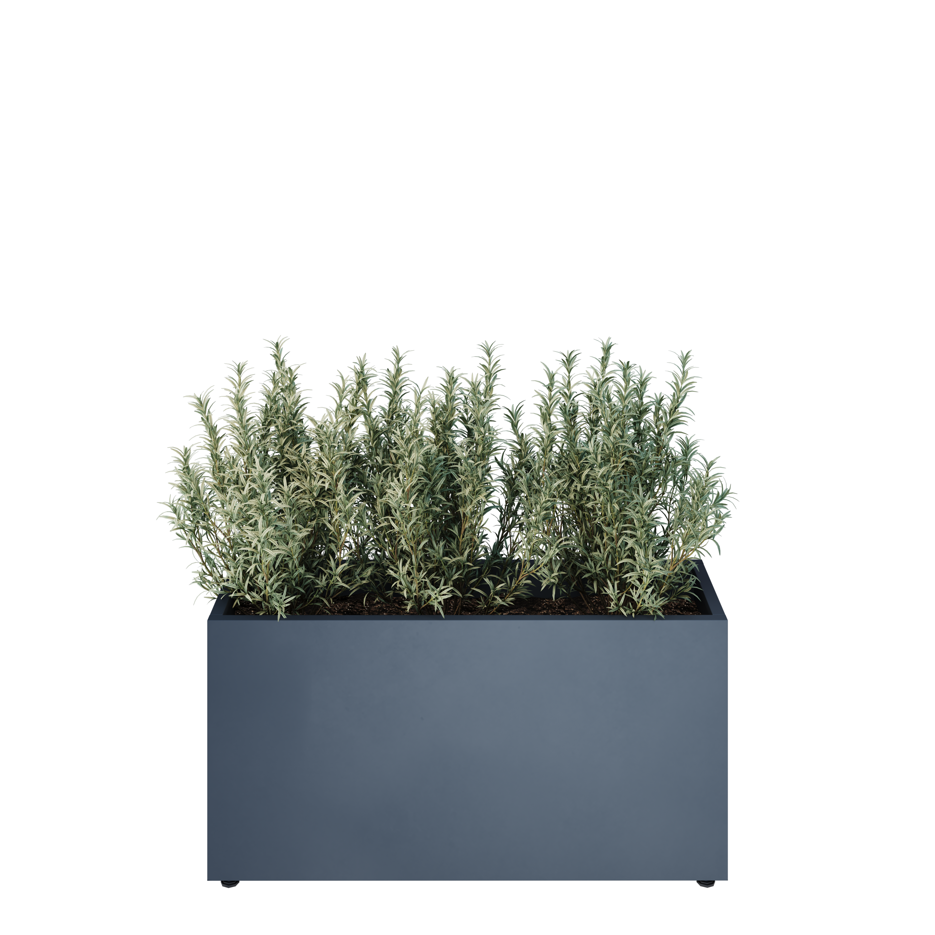 pravougaone 30 model view