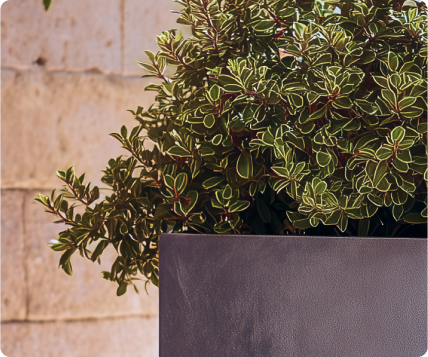 pravougaone 30 - view 2