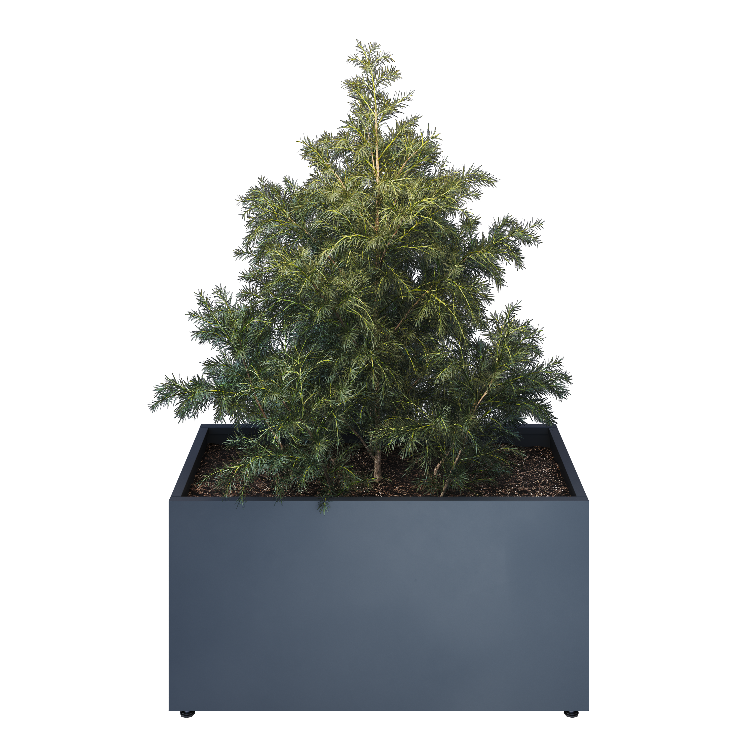 pravougaone 50 model view