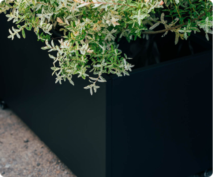 pravougaone 50 - view 1