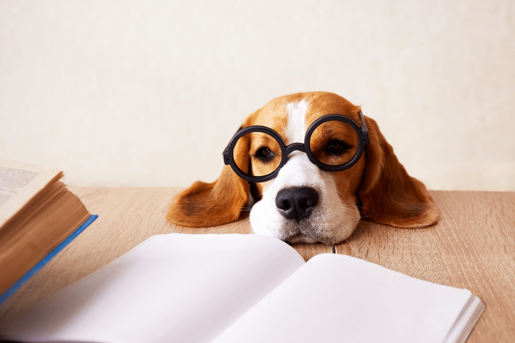 396. AI - beagle-intelligence-1