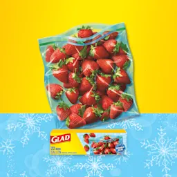 GALLON FREEZE DOUBLE SEAL