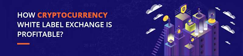 How Cryptocurrency White Label Exchange Is Profitable?