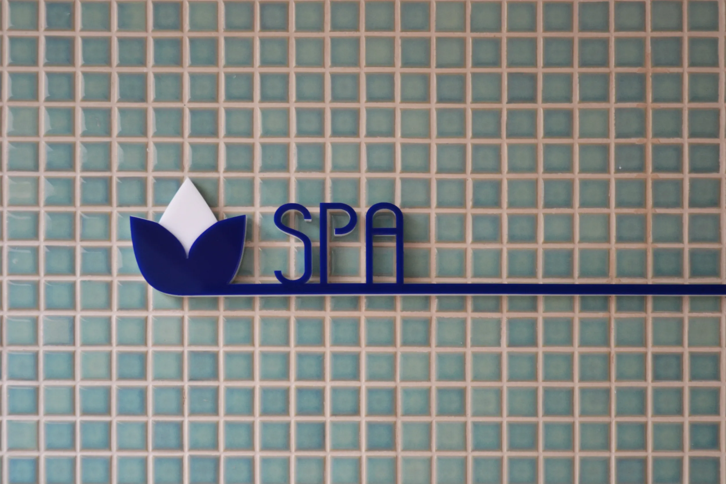 CV - CENÁRIO MOZAK (15)