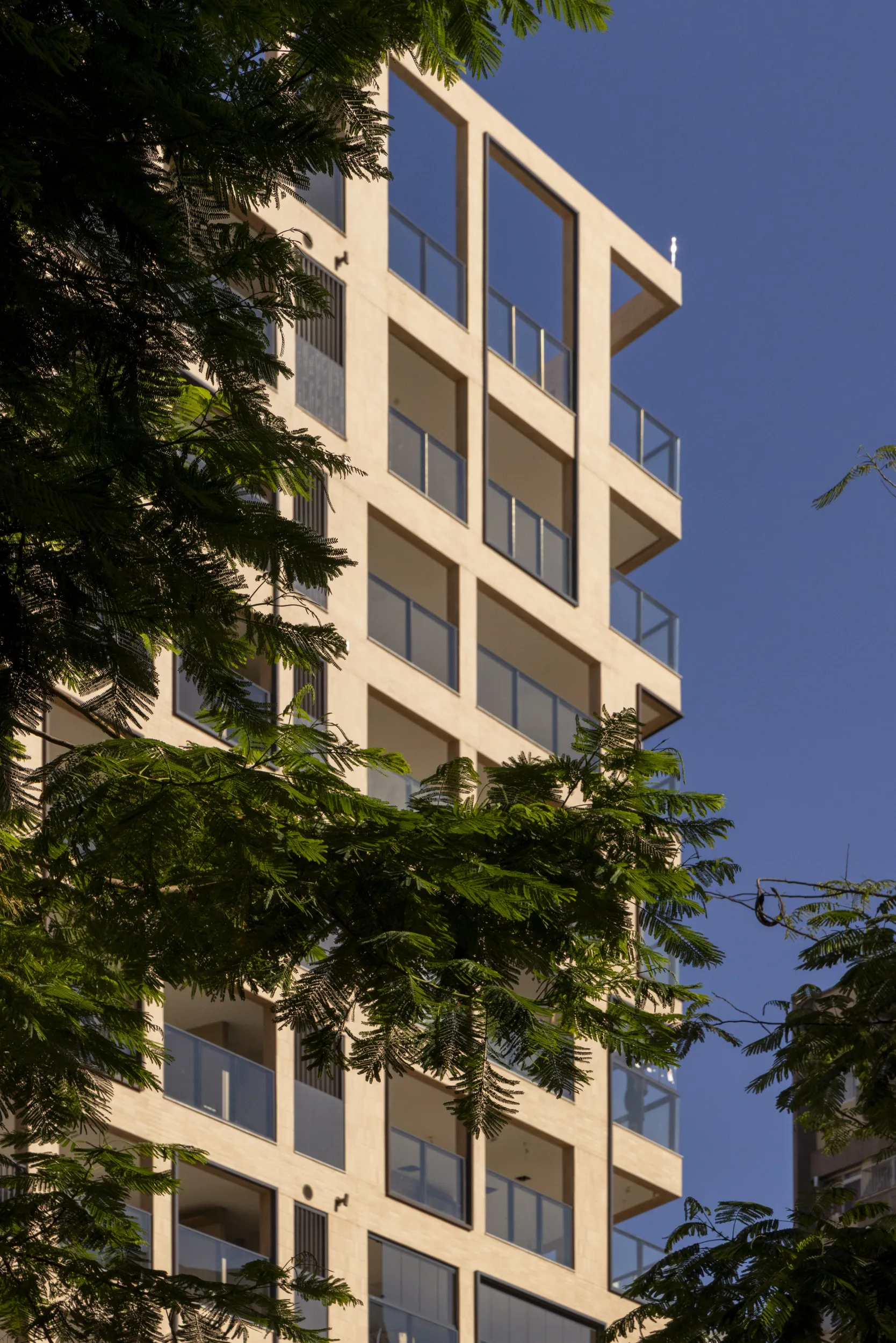 250328 ORNATO-14