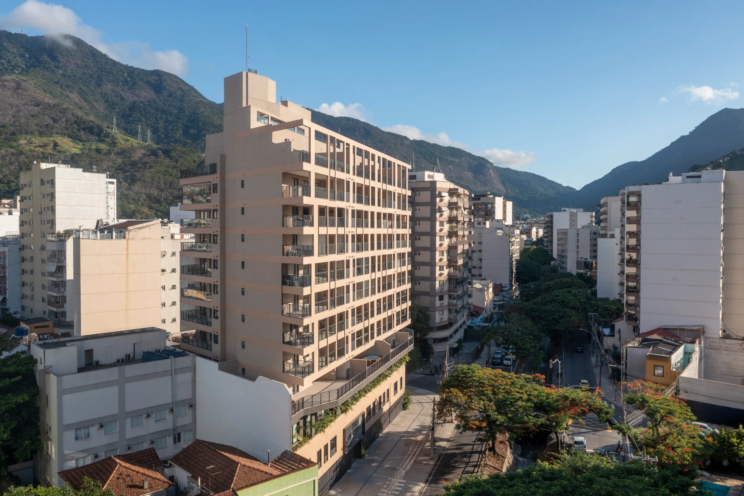 250328-ORNATO-15