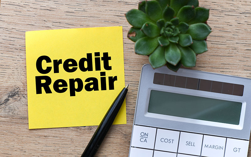 Why You Should Use A Professional Credit Repair Company