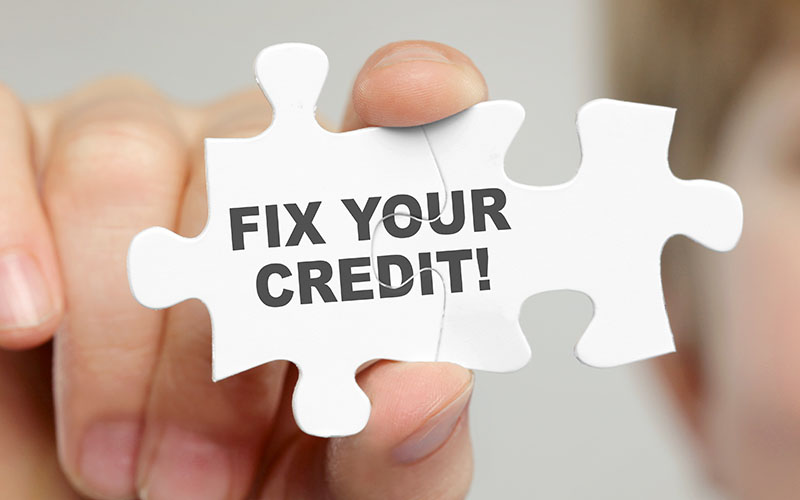 Why You Should Pick A Credit Repair Company Over DIY Credit Repair