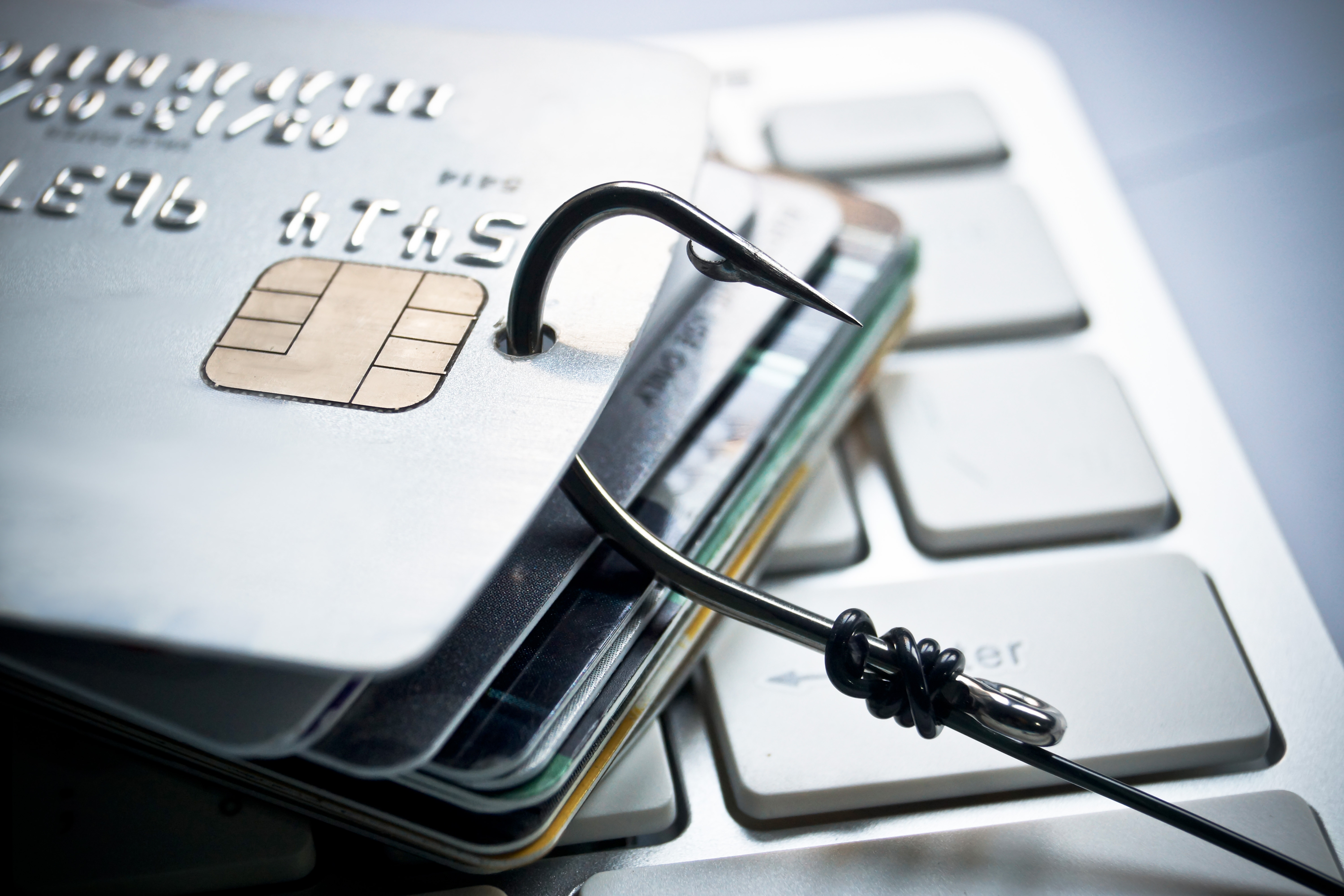 credit-card-phishing-piles-cards-fish