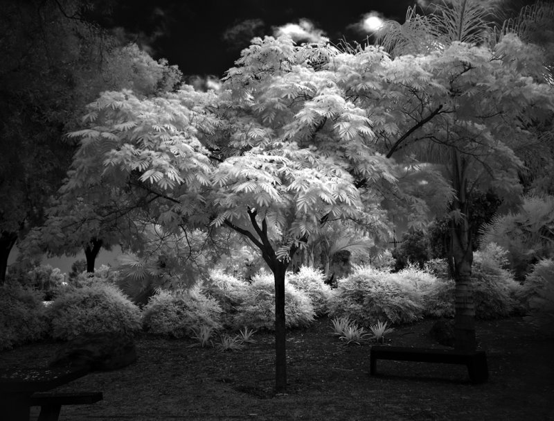 Mitch Dobrowner Photography