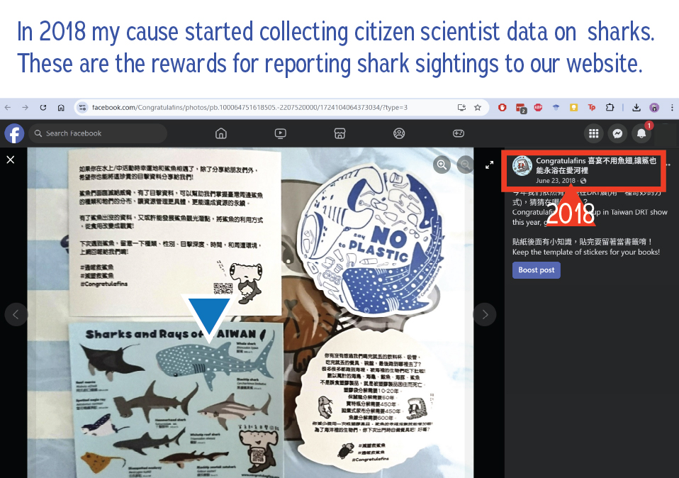 Island Souvenirs stole my art 06