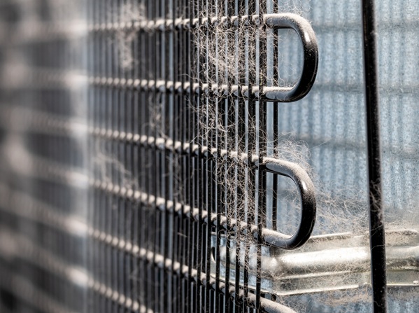 clean-the-freezer-condenser-coils