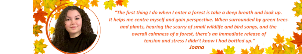 Main Design_Joana.png