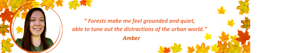 Main Design_Amber.png