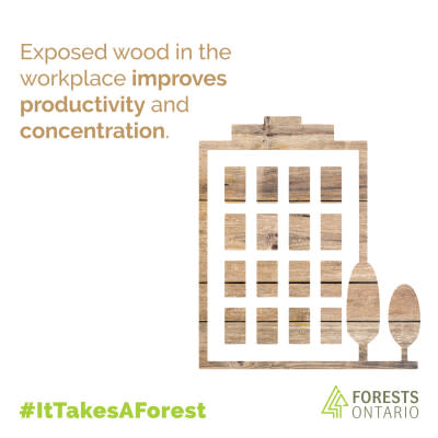 FO_ITAF_Concentration-building-SM-Graphic-01.jpg