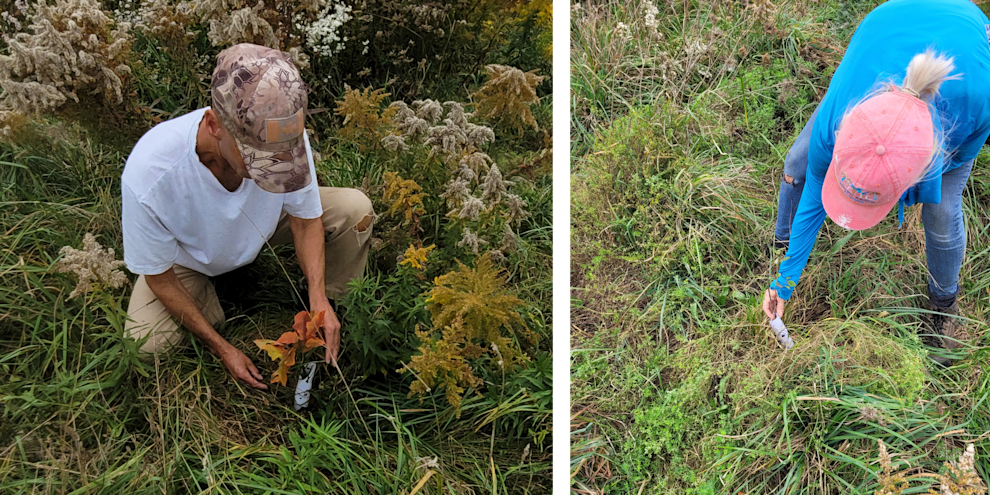 Untitled design (37).png