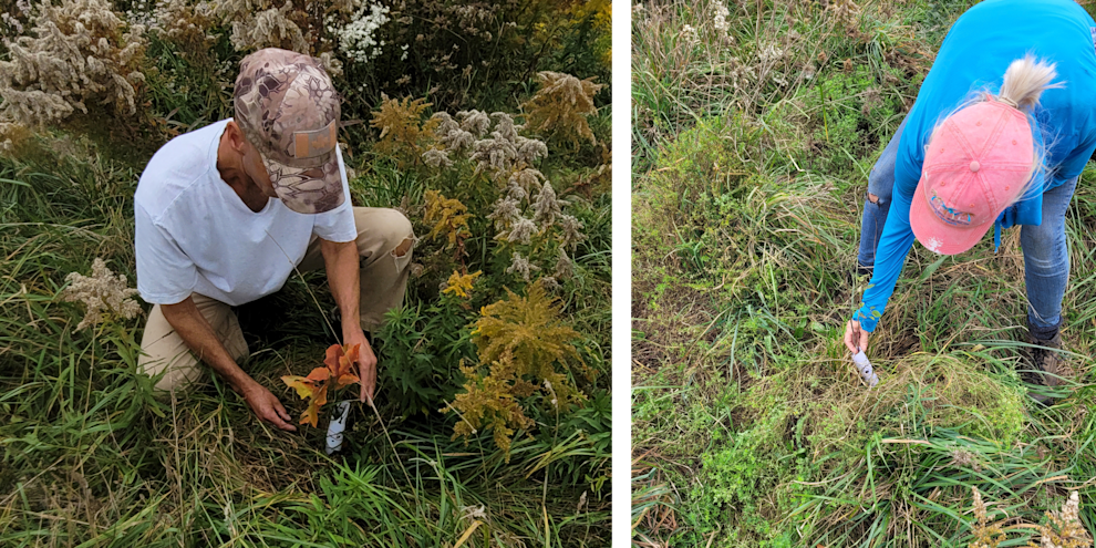 Untitled design (37).png