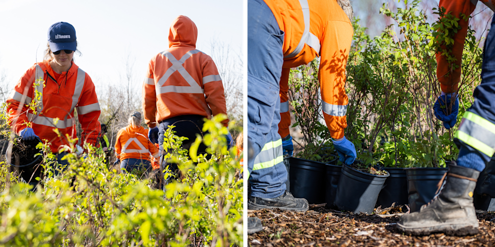 FO Blog Green Leaders Pic Resize (10).png