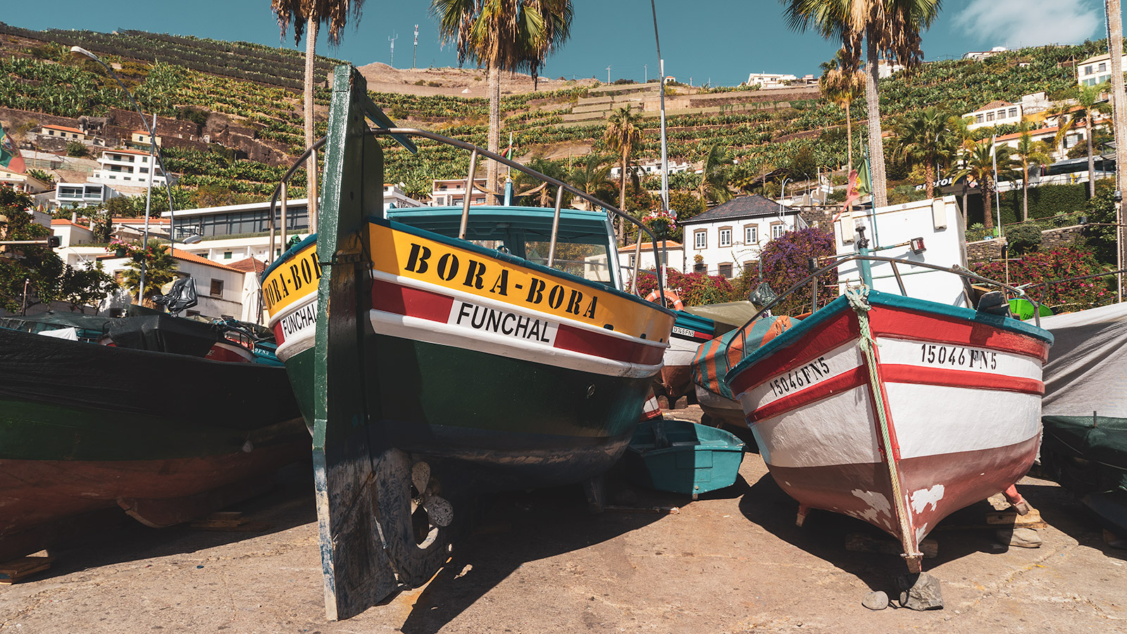 Colorful fishing boats waiting for the next trip at the harbor of Câmara de Lobos. Black Scabbard Fish is the main catch there.