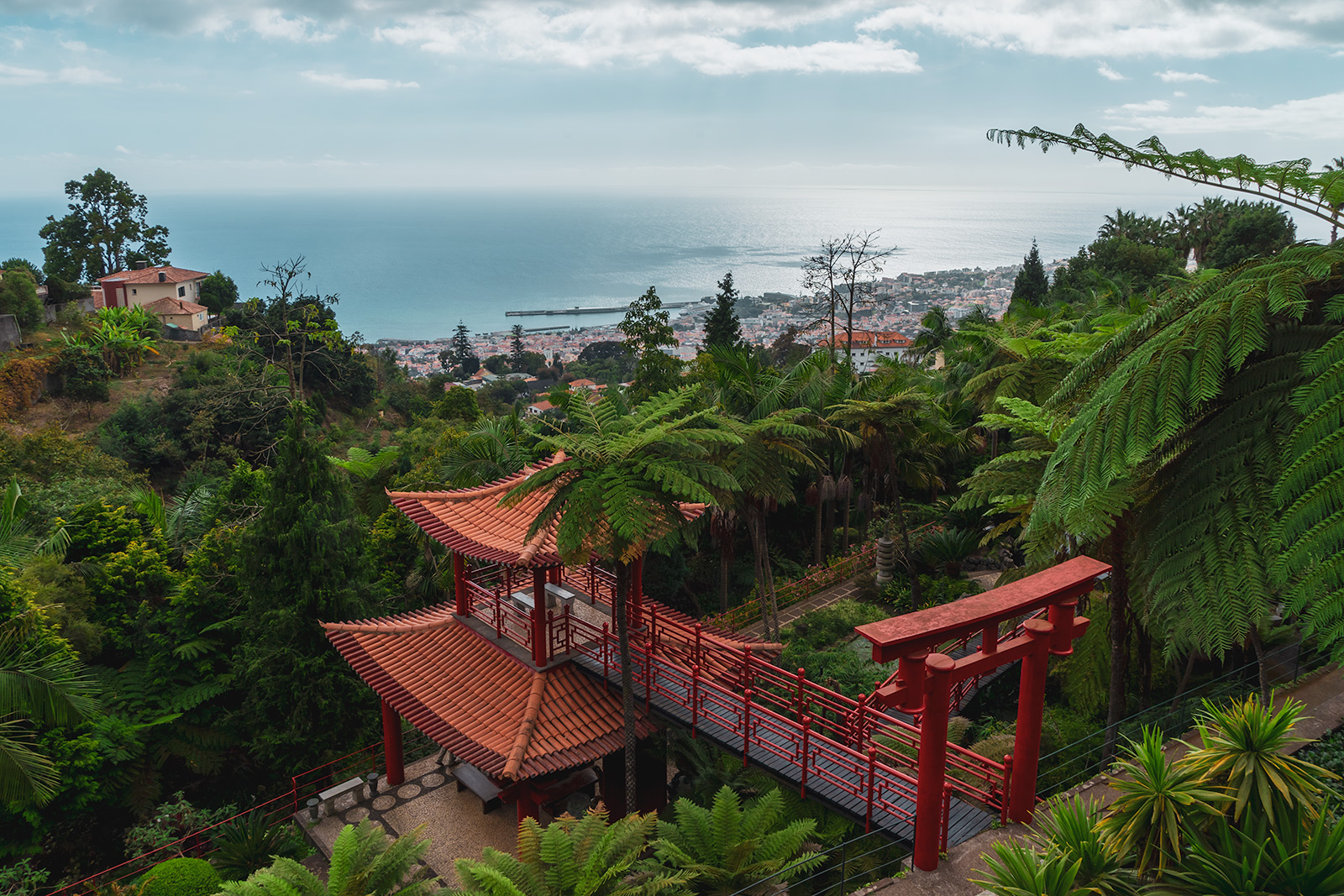 Näkymät Funchaliin Monte Palacen puutarhasta