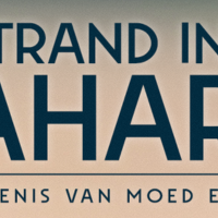 Gestrand in de Sahara