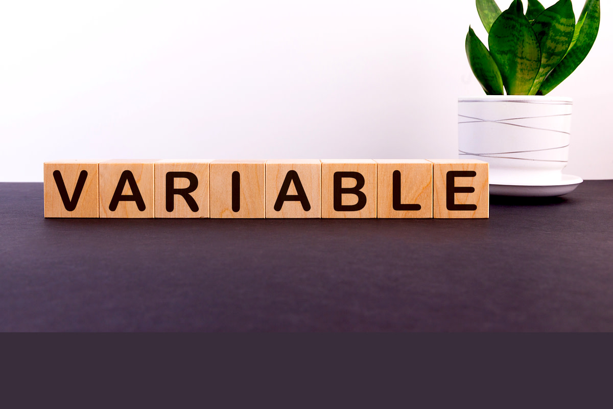 Variable interest rate concept - v4